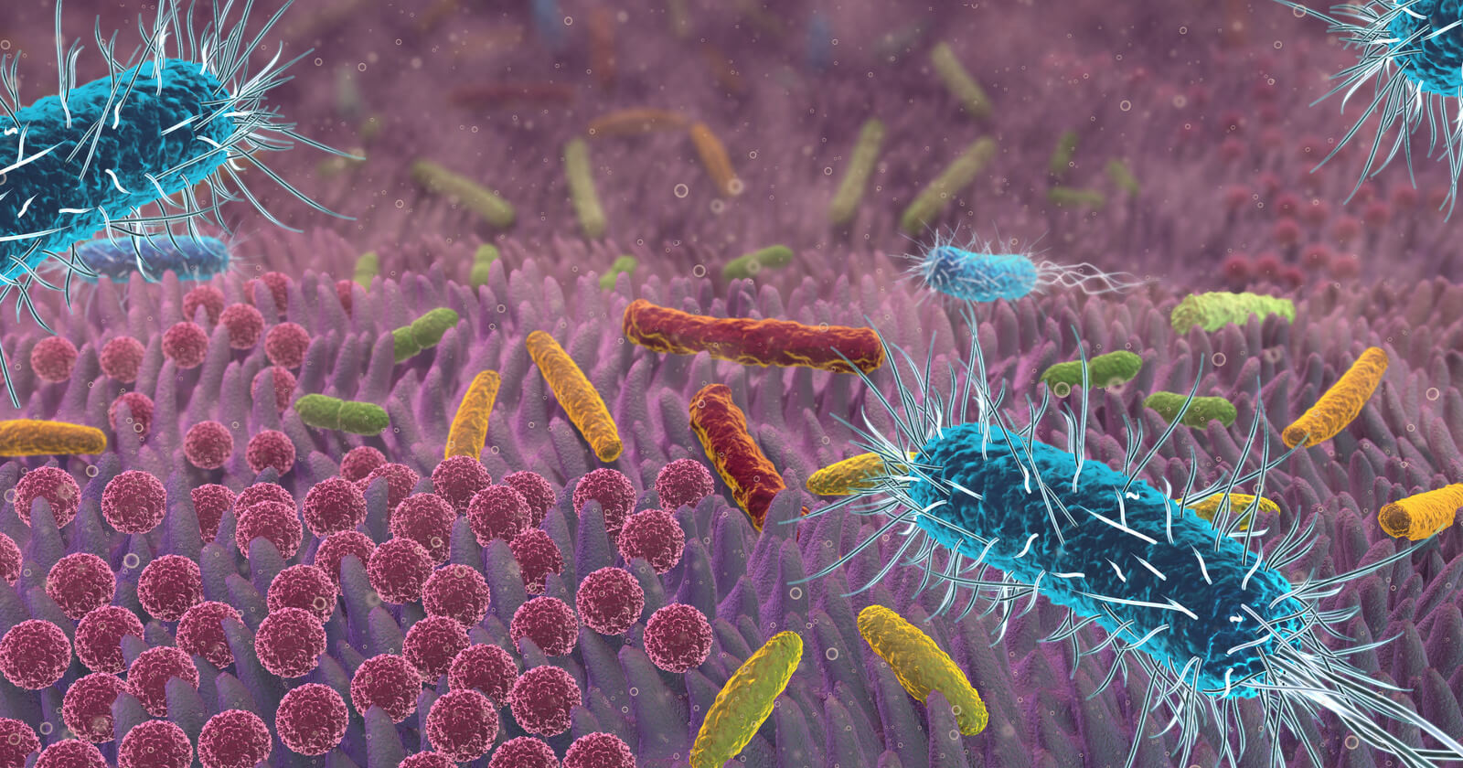 Wie einsgesund DarmfloraSchlank und gesund hält